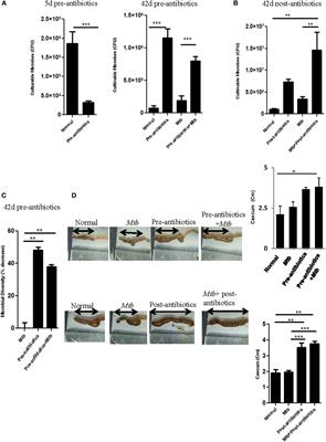 Alteration in the Gut Microbiota Provokes Susceptibility to Tuberculosis